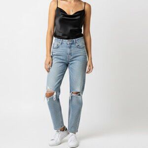 American Eagle Light Wash Ripped Jeans, High Rise Stovepipe, Womens Size 10 Pant